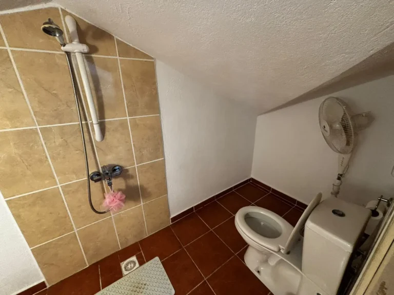 Sandy new 30