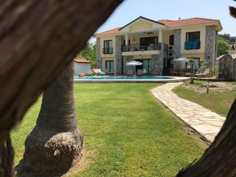 Palm Tree 2